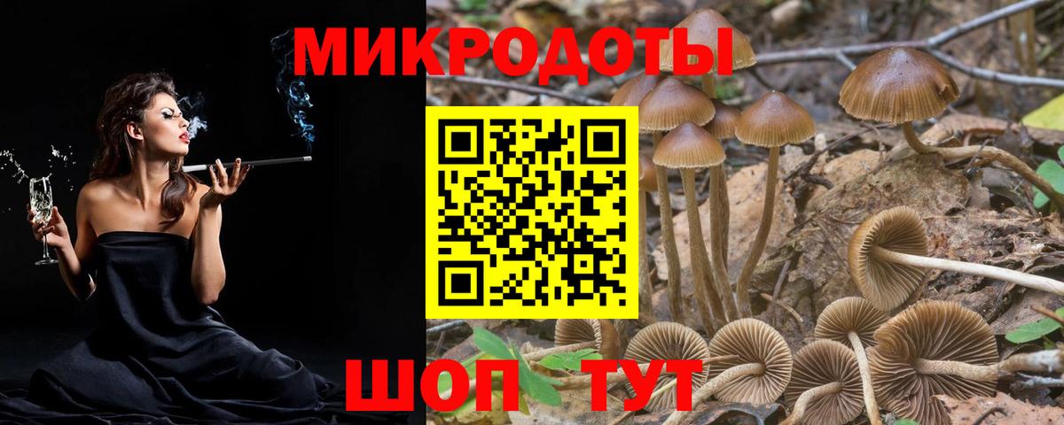 дарнет шоп  Псилоцибиновые грибы Psilocybe  Вход с VPN  Псилоцибиновые грибы MAGIC MUSHROOMS  Грозный 